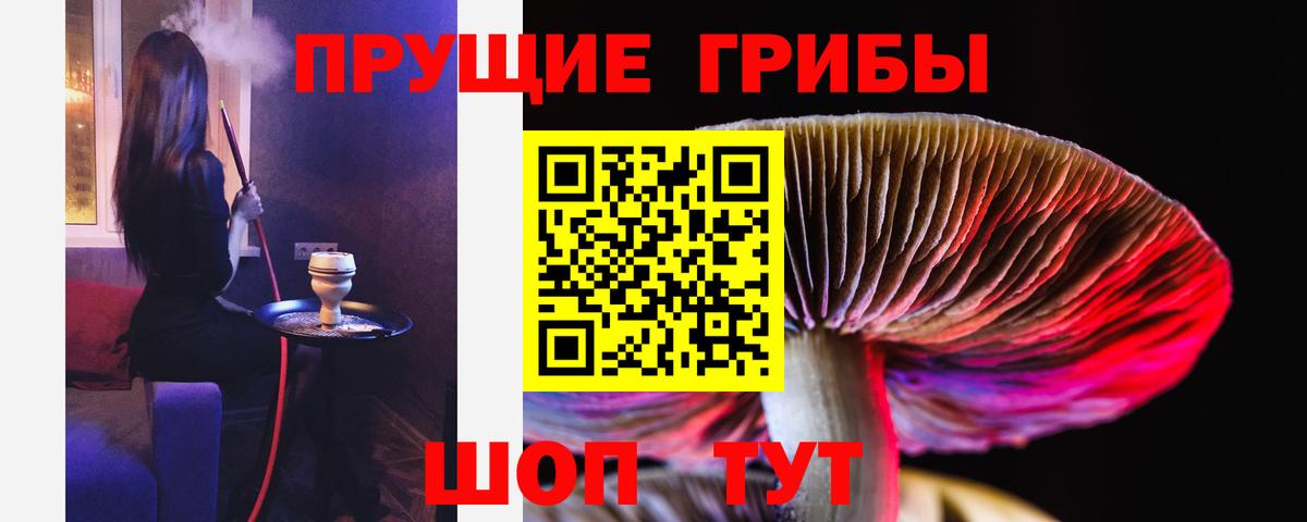 Псилоцибиновые грибы GOLDEN TEACHER Кизилюрт